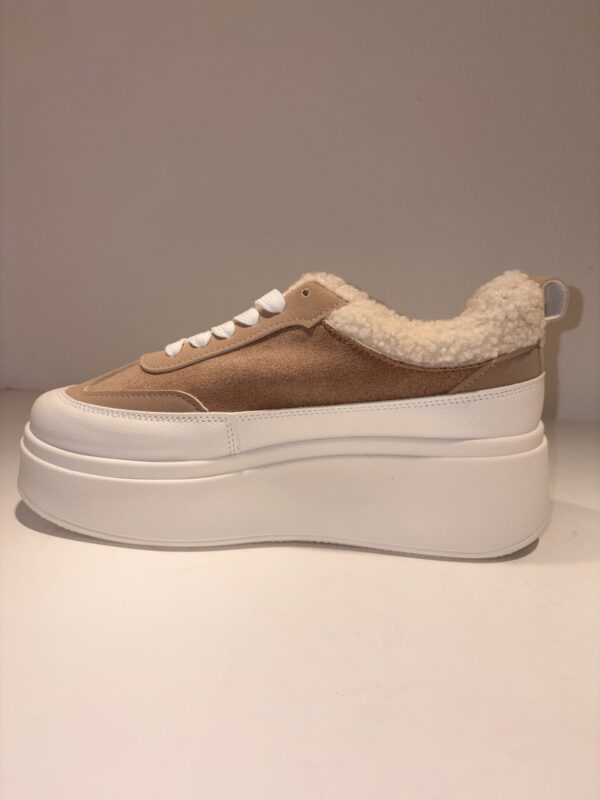 Sneaker PlateauTeddy